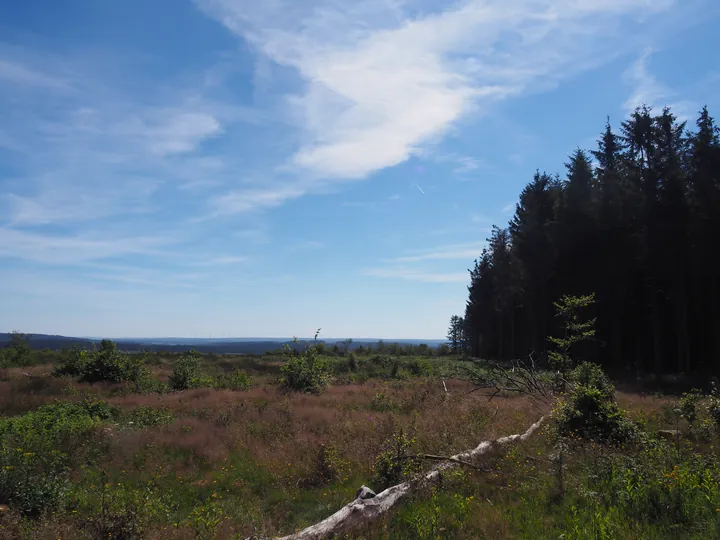 Signal de Botrange (Belgium)